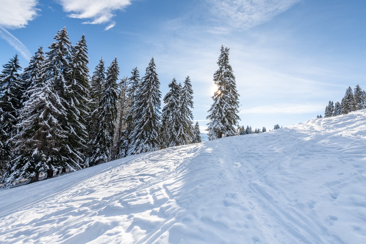 pistes, Chamonix Mont Blanc