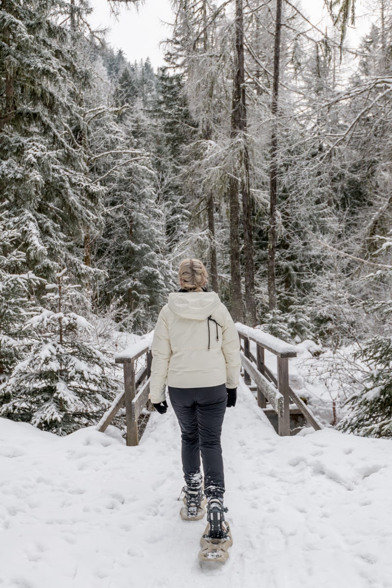 Go snowshoeing in Chamonix