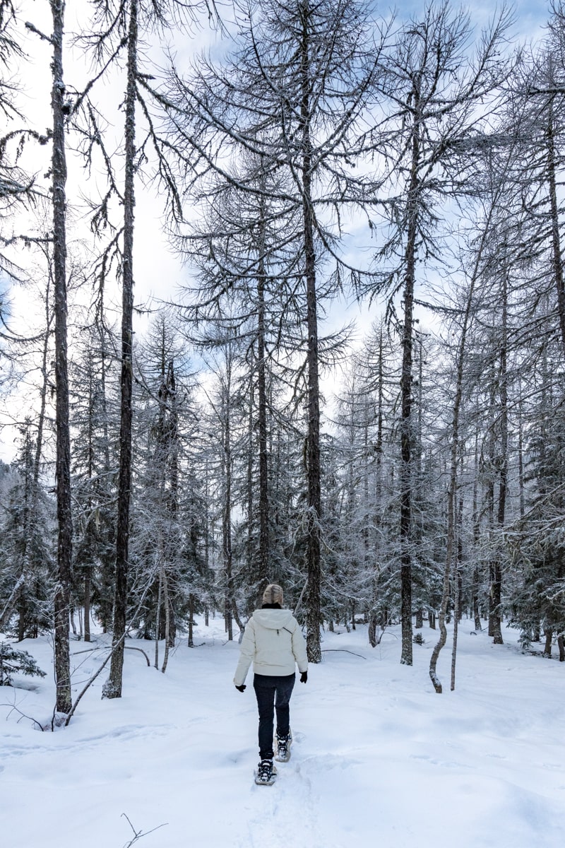 snowshoe trekking, Megève